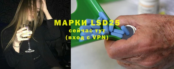 мет Алексин