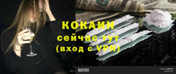 мет Алексин