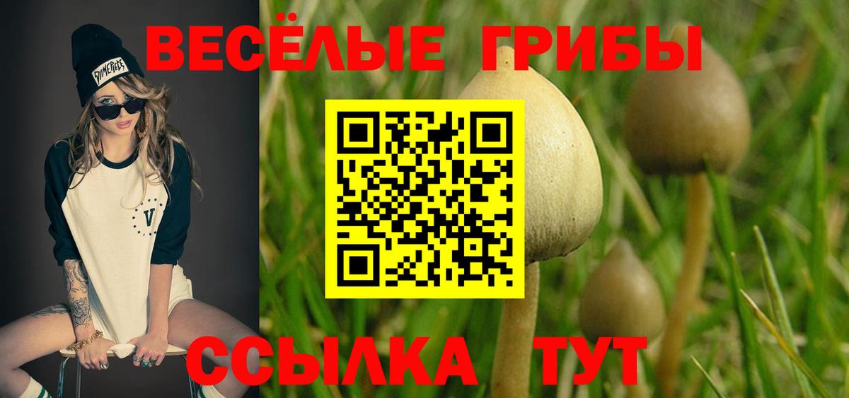 Псилоцибиновые грибы Psilocybine cubensis Сургут