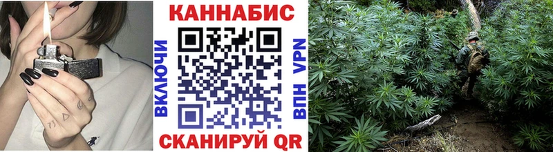Канабис план  omg зеркало  Сургут 